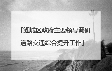 鲤城区政府主要领导调研道路交通综合提升工作
