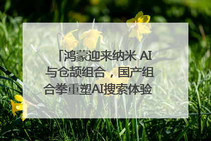 鸿蒙迎来纳米 AI 与仓颉组合，国产组合拳重塑AI搜索体验｜新经济观察