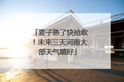 麦子熟了快抢收！未来三天河南大部天气晴好