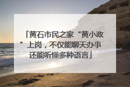 黄石市民之家“黄小政”上岗，不仅能聊天办事还能听懂多种语言