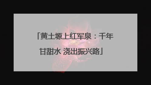 黄土塬上红军泉：千年甘甜水 浇出振兴路