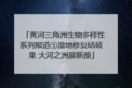 黄河三角洲生物多样性系列报道①湿地修复结硕果 大河之洲展新颜