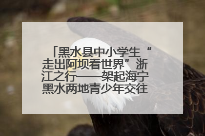 黑水县中小学生“走出阿坝看世界”浙江之行——架起海宁黑水两地青少年交往交流交融新桥梁