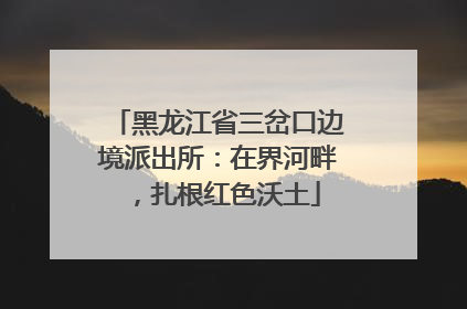 黑龙江省三岔口边境派出所：在界河畔，扎根红色沃土