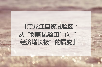 黑龙江自贸试验区：从“创新试验田”向“经济增长极”的质变