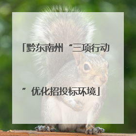 黔东南州“三项行动”优化招投标环境