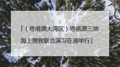 （粤港澳大湾区）粤港澳三地海上搜救联合演习在港举行