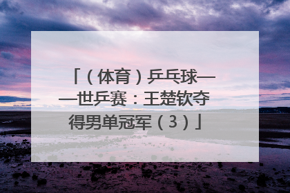 （体育）乒乓球——世乒赛：王楚钦夺得男单冠军（3）