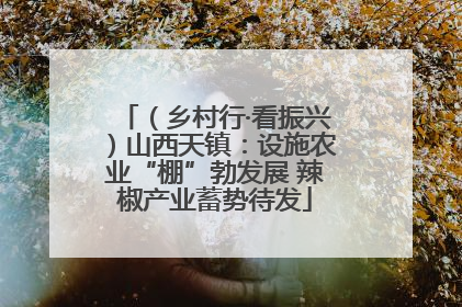 （乡村行·看振兴）山西天镇：设施农业“棚”勃发展 辣椒产业蓄势待发