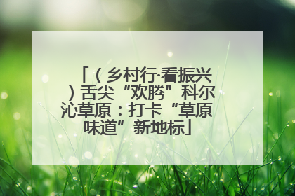 （乡村行·看振兴）舌尖“欢腾”科尔沁草原：打卡“草原味道”新地标