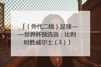 （外代二线）足球——世界杯预选赛：比利时胜威尔士（3）
