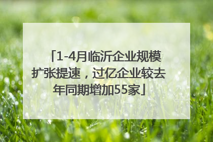 1-4月临沂企业规模扩张提速，过亿企业较去年同期增加55家