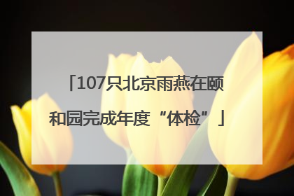107只北京雨燕在颐和园完成年度“体检”