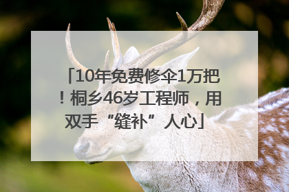 10年免费修伞1万把！桐乡46岁工程师，用双手“缝补”人心