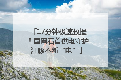 17分钟极速救援！国网石首供电守护江豚不断“电”