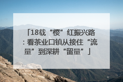 18载“樱”红振兴路：看茶业口镇从接住“流量”到深耕“留量”