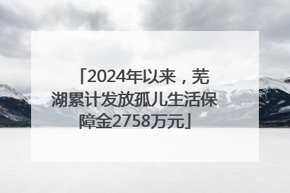 2024年以来，芜湖累计发放孤儿生活保障金2758万元