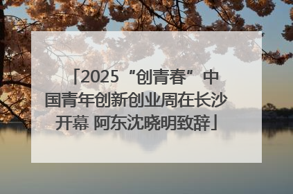 2025“创青春”中国青年创新创业周在长沙开幕 阿东沈晓明致辞