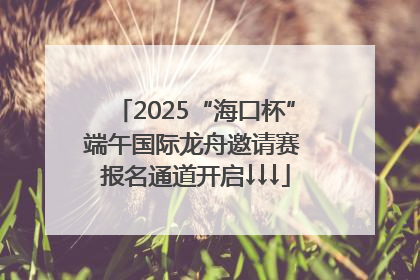 2025“海口杯”端午国际龙舟邀请赛 报名通道开启↓↓↓