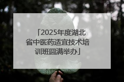 2025年度湖北省中医药适宜技术培训班圆满举办