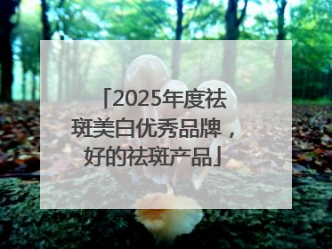 2025年度祛斑美白优秀品牌，好的祛斑产品