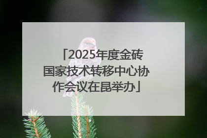 2025年度金砖国家技术转移中心协作会议在昆举办