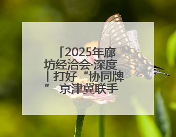 2025年廊坊经洽会·深度丨打好“协同牌” 京津冀联手“链”上招商