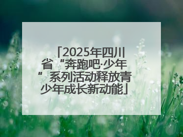 2025年四川省“奔跑吧·少年”系列活动释放青少年成长新动能