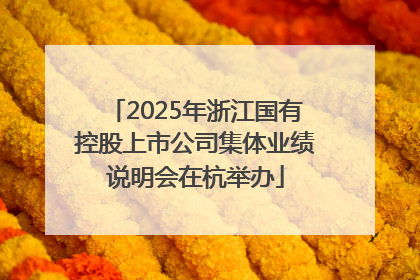 2025年浙江国有控股上市公司集体业绩说明会在杭举办
