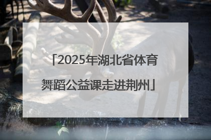 2025年湖北省体育舞蹈公益课走进荆州