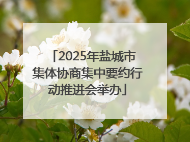 2025年盐城市集体协商集中要约行动推进会举办