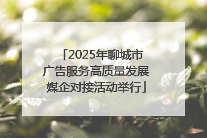 2025年聊城市广告服务高质量发展媒企对接活动举行