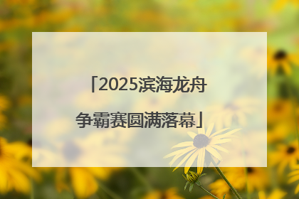 2025滨海龙舟争霸赛圆满落幕