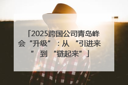 2025跨国公司青岛峰会“升级”：从 “引进来” 到 “链起来”