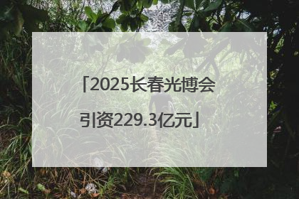 2025长春光博会引资229.3亿元
