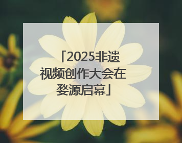 2025非遗视频创作大会在婺源启幕