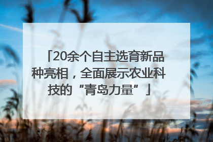 20余个自主选育新品种亮相，全面展示农业科技的“青岛力量”