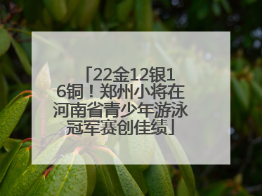 22金12银16铜！郑州小将在河南省青少年游泳冠军赛创佳绩