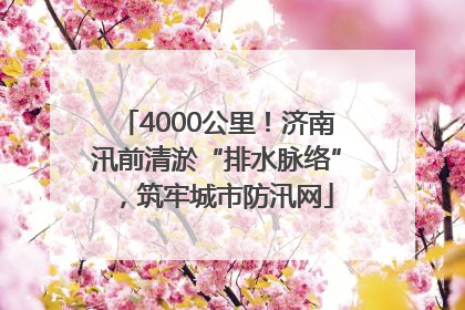 4000公里！济南汛前清淤“排水脉络”，筑牢城市防汛网