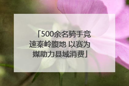 500余名骑手竞速秦岭腹地 以赛为媒助力县域消费