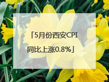 5月份西安CPI同比上涨0.8%