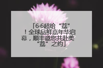 6·6超给“荔”！全球品鲜嘉年华启幕，顺丰邀您共赴美“荔”之约