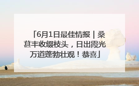 6月1日最佳情报｜桑葚丰收缀枝头，日出霞光万道蓬勃壮观！恭喜