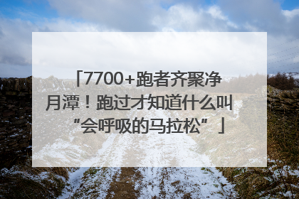 7700+跑者齐聚净月潭！跑过才知道什么叫“会呼吸的马拉松”