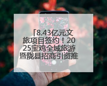8.43亿元文旅项目签约！2025宝鸡全域旅游暨陇县招商引资推介会在西安举办