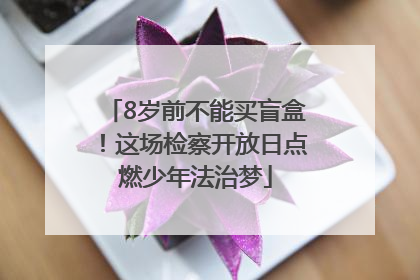 8岁前不能买盲盒！这场检察开放日点燃少年法治梦