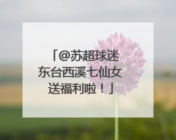 @苏超球迷 东台西溪七仙女送福利啦！