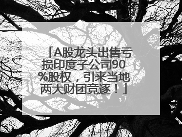 A股龙头出售亏损印度子公司90%股权，引来当地两大财团竞逐！