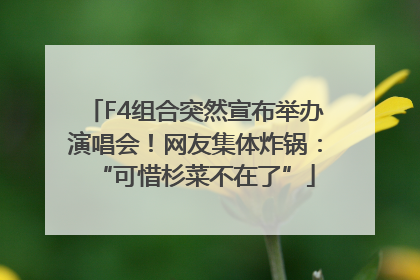 F4组合突然宣布举办演唱会！网友集体炸锅：“可惜杉菜不在了”