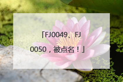 FJ0049、FJ0050，被点名！